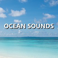 Nature Sounds - Ocean Sounds & Ocean Waves & Ocean Sounds for Sleep