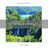 Hear Shooting Ocean Music and Nature Sounds for Recharging Moments pt. 1 - Calming Sounds & Seas of Dreams