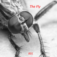 OCB - The Fly & 2010 Edit