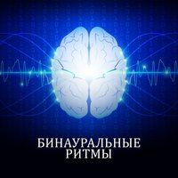 Бинауральные ритмы