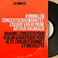 Concerto pour violon in D Major, Op. 77: II. Adagio - Koninklijk Concertgebouworkest & Иоганнес Брамс