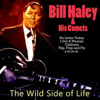 I Don' T Hurt Anymore - Bill Haley & His  Comets