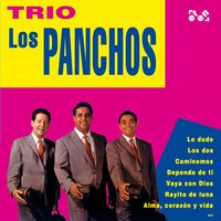 No Me Quieras Tanto - Trio Los Panchos