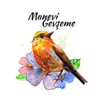 Sessizliği Bekliyor - Rahatlatıcı Müzik Terapi
