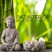 Relajamiento Instrumental - Scents of Spa