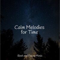 The Long Embrace - Relaxation Music Guru & Música de la Naturaleza & Sleep Sounds Of Nature