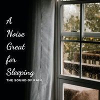 Fragrance of Petrichor - White Noise Rain & Rain Sound Experience & Ambient Rain