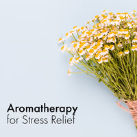 Deep Relaxation Zen Spa - Sensual Massage to Aromatherapy Universe