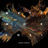 Anything Is Possible - Joseph Capriati