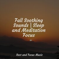 Life Blossoms - Entspannungsmusik & Ocean Waves for Sleep & SleepTherapy
