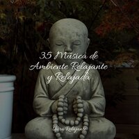 Autodescubrimiento - Masajes Spas & Musicas Crianças & Meditação Zen