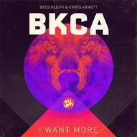 I Want More - Bass Kleph & Chris Arnott & BKCA & Dom Dolla