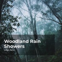 Woodland Steady Rain - Nature and Rain & Deep Rain Sampling & Jungle Rain