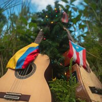 Las Trullas de Felo - Alexander López & Manny Collazo & El Nuevo Son