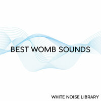 Womb Sound 3 - Loopable With No Fade - Womb Sounds & White Noise Library & Womb Sound