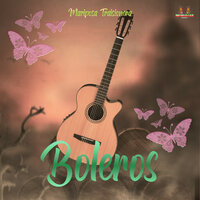 El Gato Bajo La Lluvia - Boleros & Los Mejores Boleros