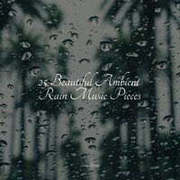 All Night Rain - Zarobi & Deep Horizon Waves & Rain Storm Sample Library