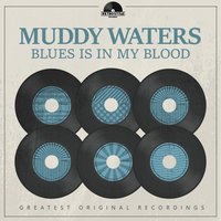 Cold Weather Blues - Muddy Waters