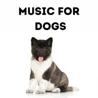 Puppy Unwind - Music for Dogs & Music for Dogs Peace & Relaxing Puppy Music & Calm Pets Music Academy