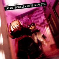 Amnesia - David Tronzo & Reeves Gabrels
