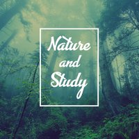 Plashing - Reading and Studying Music