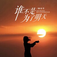 谁不是为了明天 - 魏佳艺
