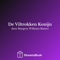 De Viltrokken Konijn - 3 - Margery Williams Bianco & StreamzBook Nederlands & StreamzBook Kinderboek Nederlands