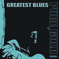 Custard Pie Blues - Sonny Terry