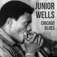 Prison Bars All Around Me - Junior Wells