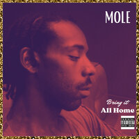 Bring It All Home - Mole
