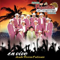 Los Farsantes - Los Pajaritos De Tacupa