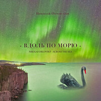 Плясовая - Николай Орловский & Алексей Соколов & Фойе for you
