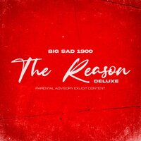 Why - Big Sad 1900
