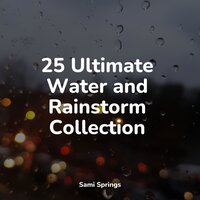 Rain, Light Metal, Window Pane - Spa & Thunder and Rain Storm & Binaural Beats Brainwave Entrainment