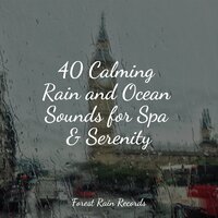 Stormy, Rainy Night - Academia de Relaxamento e Meditação & Spa Music Collective & Asian Zen: Spa Music Meditation