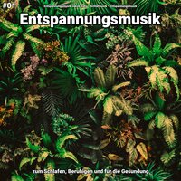 Entspannungsmusik pt. 83 - Entspannungsmusik Jakob Kohs & Schlafmusik & Entspannungsmusik