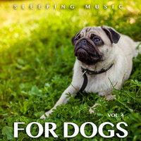 Music For Pets While You're Gone - Dog Music & Music for Dog's Ears & Sleeping Music For Dogs
