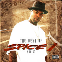 They Just Don't Know - Spice 1