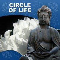 Music for Stress Relief - Chakra Balancing Music Oasis