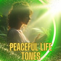 Relaxation Soundscapes - Recover Your Spirit & Melodies to Relax Your Life & Soft Sound Mental Tranquility