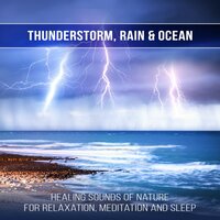 Soothing Birds Chirping and Heavy Downpour - Relaxing Music Pro Effects Unlimited