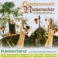 Harfenpolka - Familienmusik Niederacher