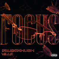 Focus - PLUGOXHUSH & Ville