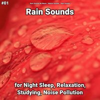 Rain Sounds to Fall Asleep - Rain Sounds No Music & Nature Sounds & Rain Sounds