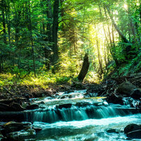 Binaural Crystal Waves - Relaxing Music Therapy & Rivers and Streams & Sleep Music