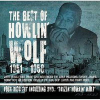 Hard Time Killing Floor Blues - Skip James