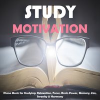 Zen - Study Motivation