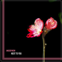 Next To You - ANCODYNEW
