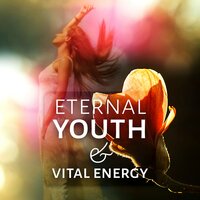 Wellness Music - Quiet Wellness Paradise