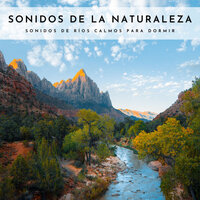 Torrentes Sedantes - Sonidos De Agua & Academia de Música con Sonidos de la Naturaleza & Musica para Dormir Radio